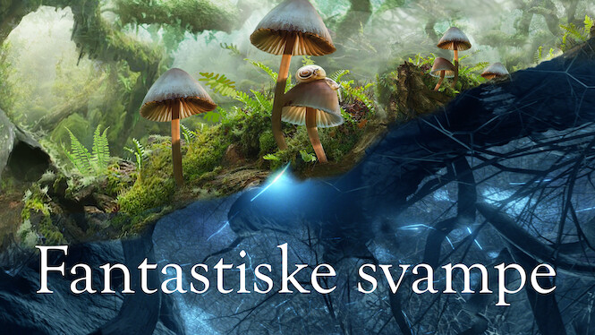 Fantastiske svampe